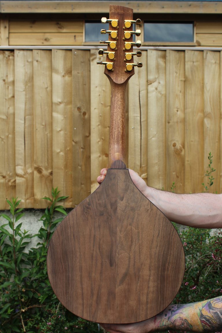 10 String Fan Fret Mandolin Davey Mandolins